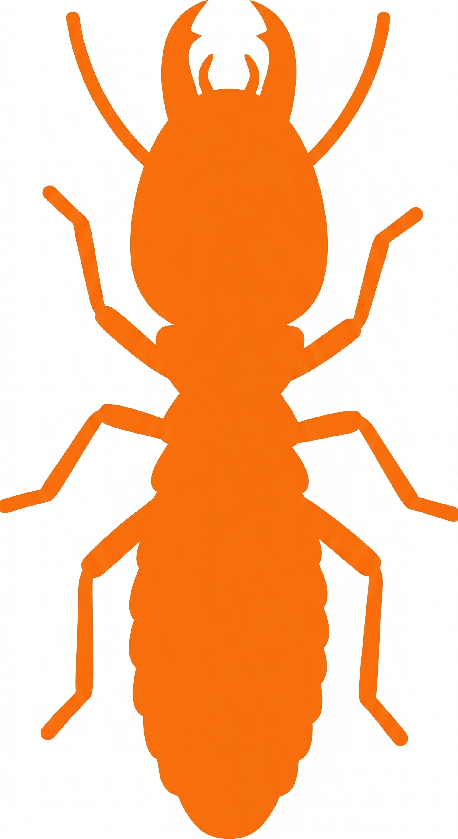 Termite Silhouette